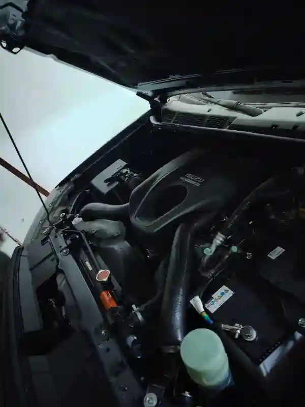 Dmax Intercooler 25 Turbo Diesel - Vue 6