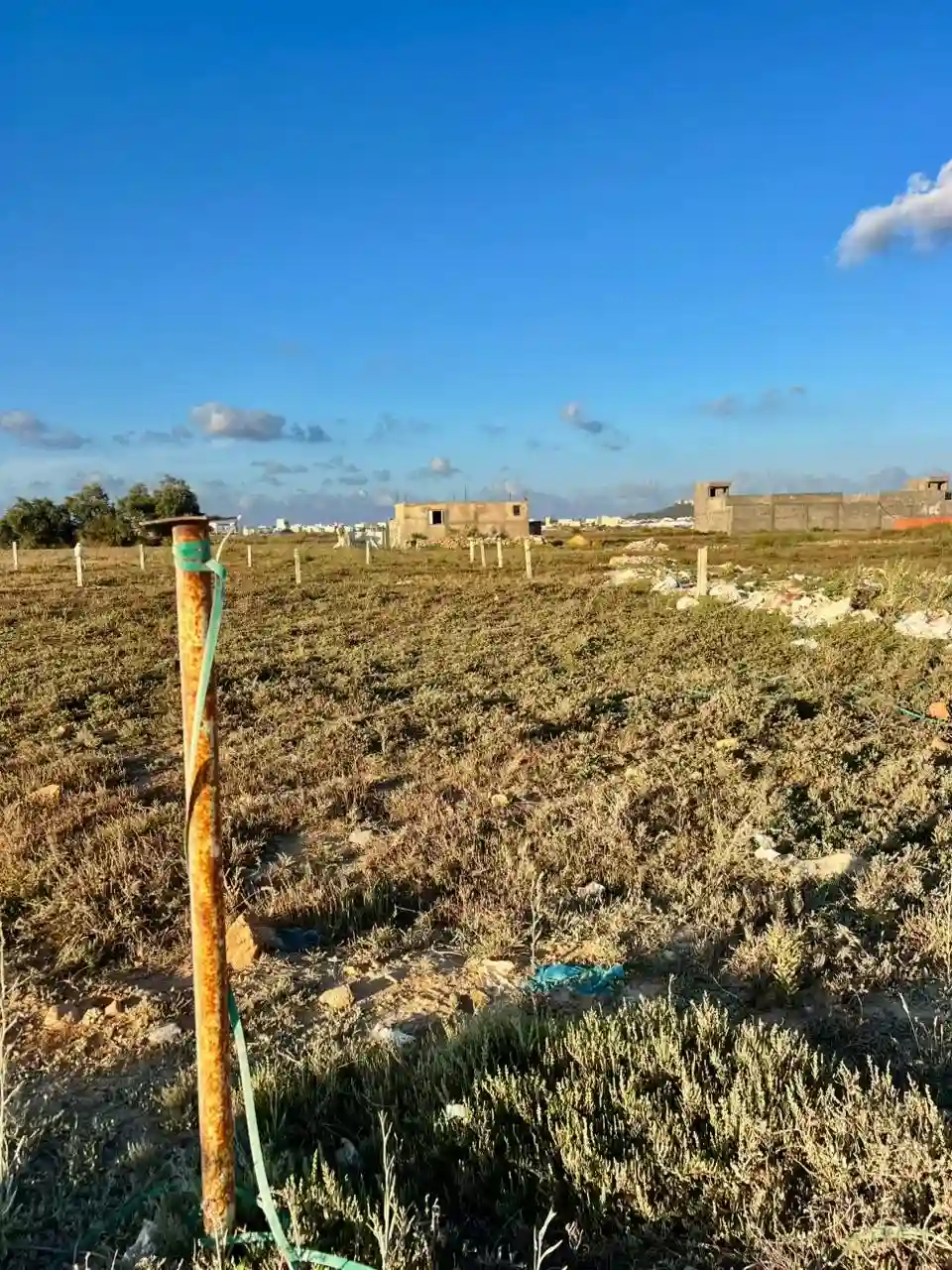 Terrain à Plage Kélebia - Vue 5