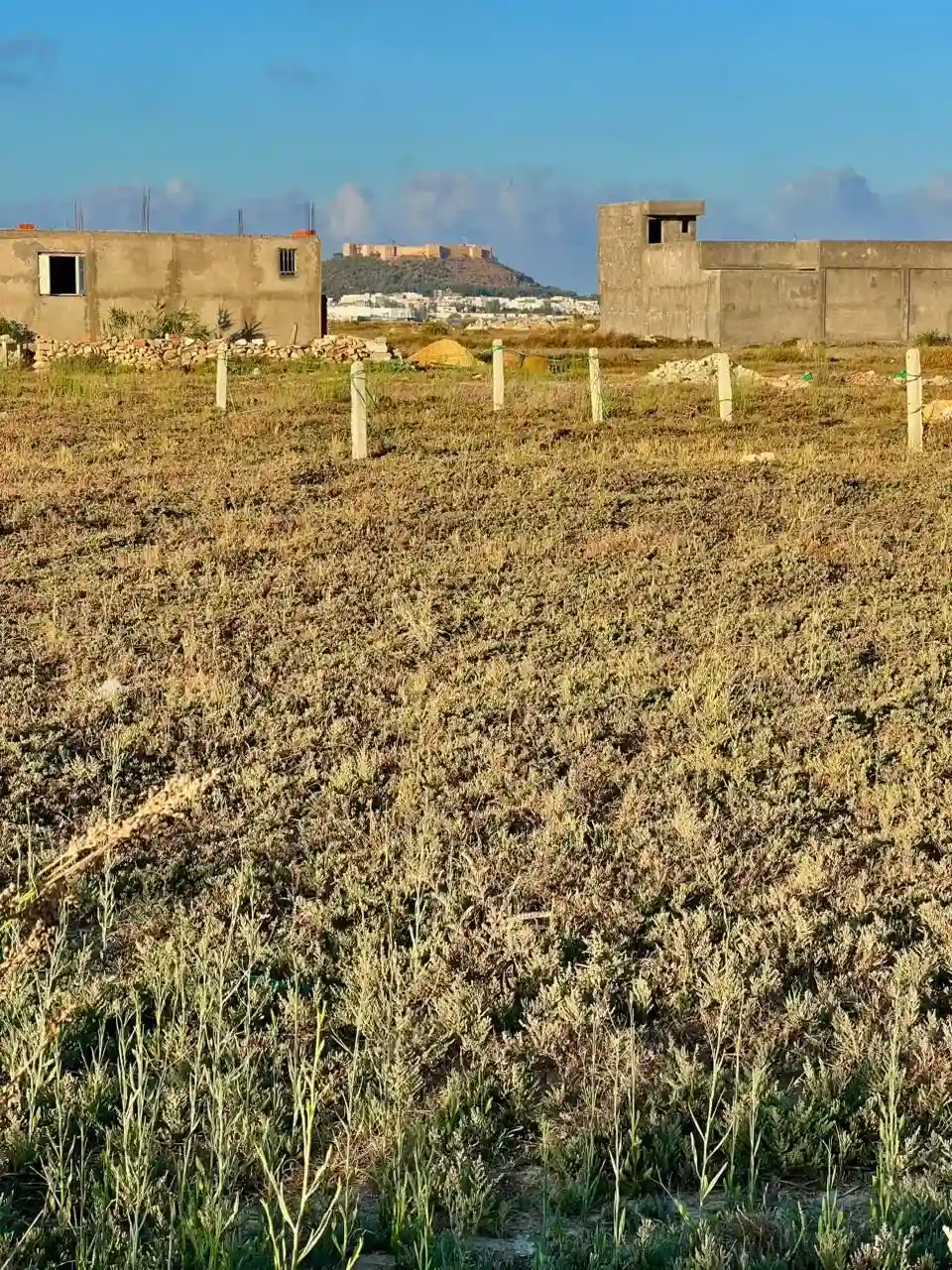 Terrain à Plage Kélebia - Vue 7