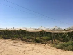 Ferme à Mezzouna Sidi Bouzid