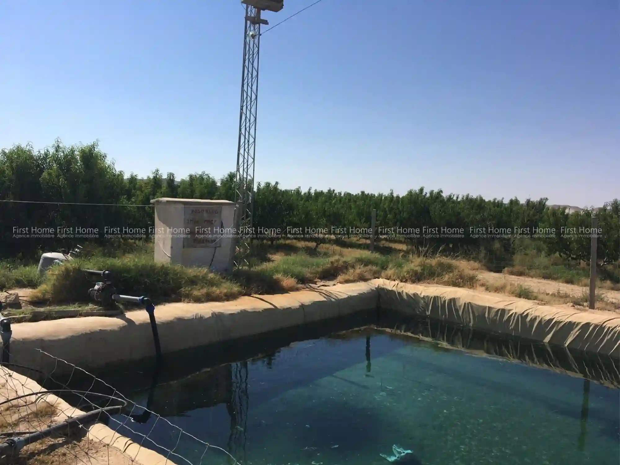 Ferme à Mezzouna Sidi Bouzid - Vue 1