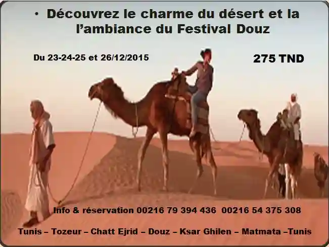 Excursion sud Spécial Festival Douz - Vue 1