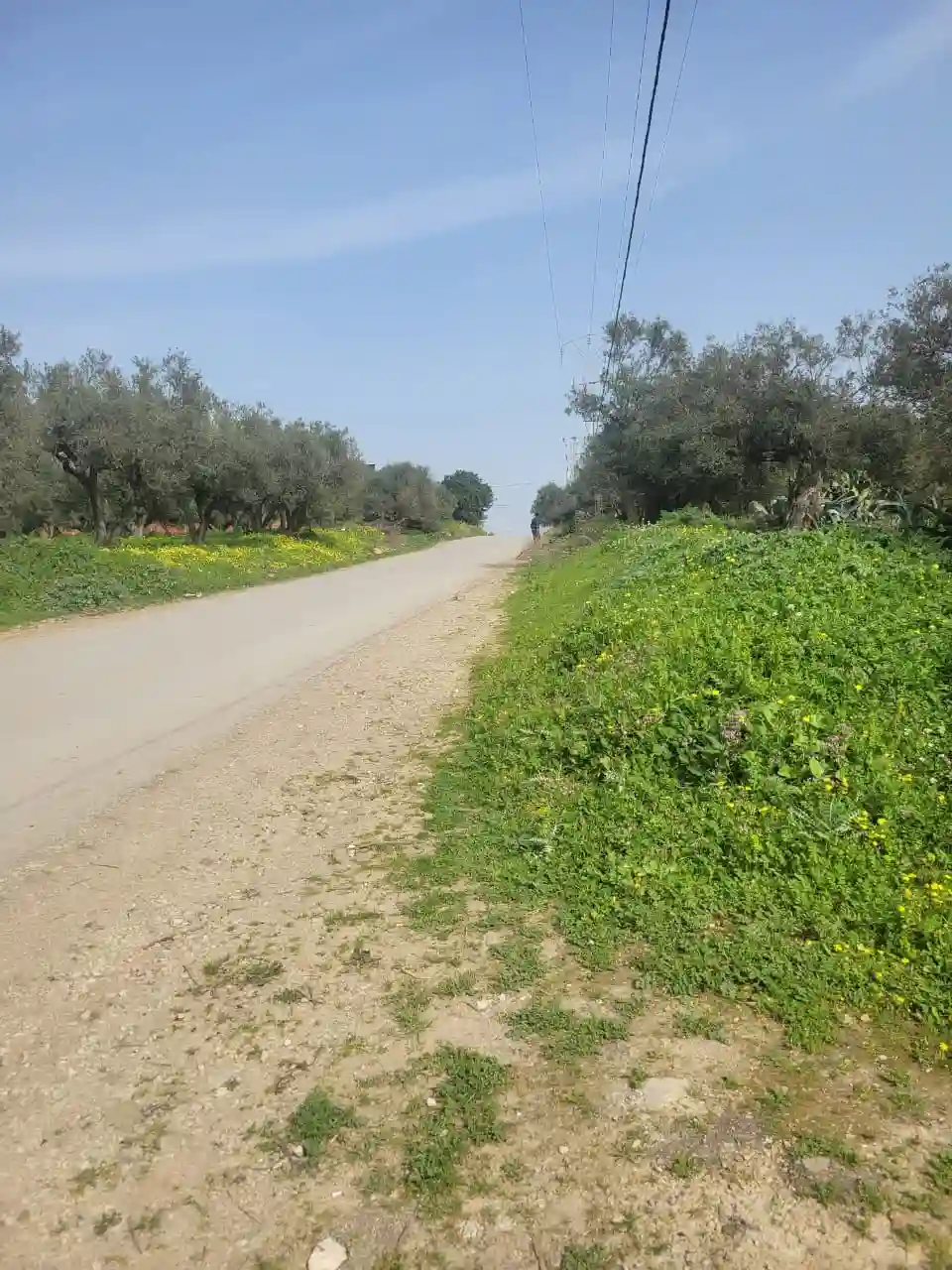 Terrain bni Mislem à Bizerte - Vue 1