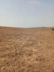 Av Terrain 7 Hectares Route Zaghouan Hammamet