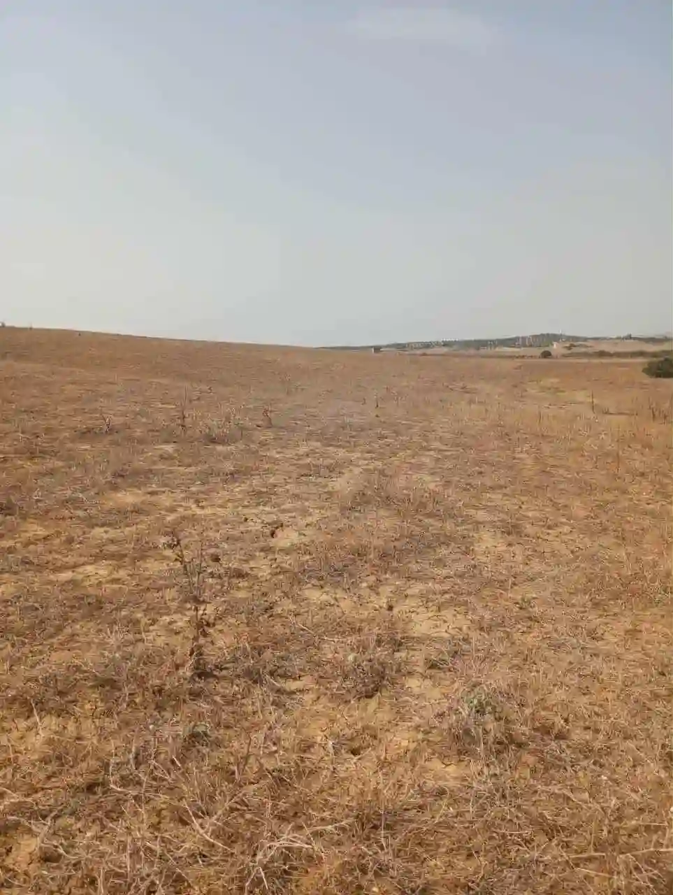 Av Terrain 7 Hectares Route Zaghouan Hammamet