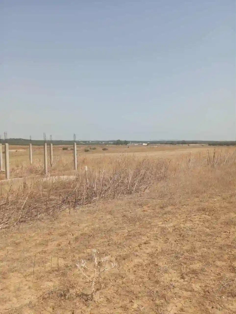 Av Terrain 7 Hectares Route Zaghouan Hammamet - Vue 1