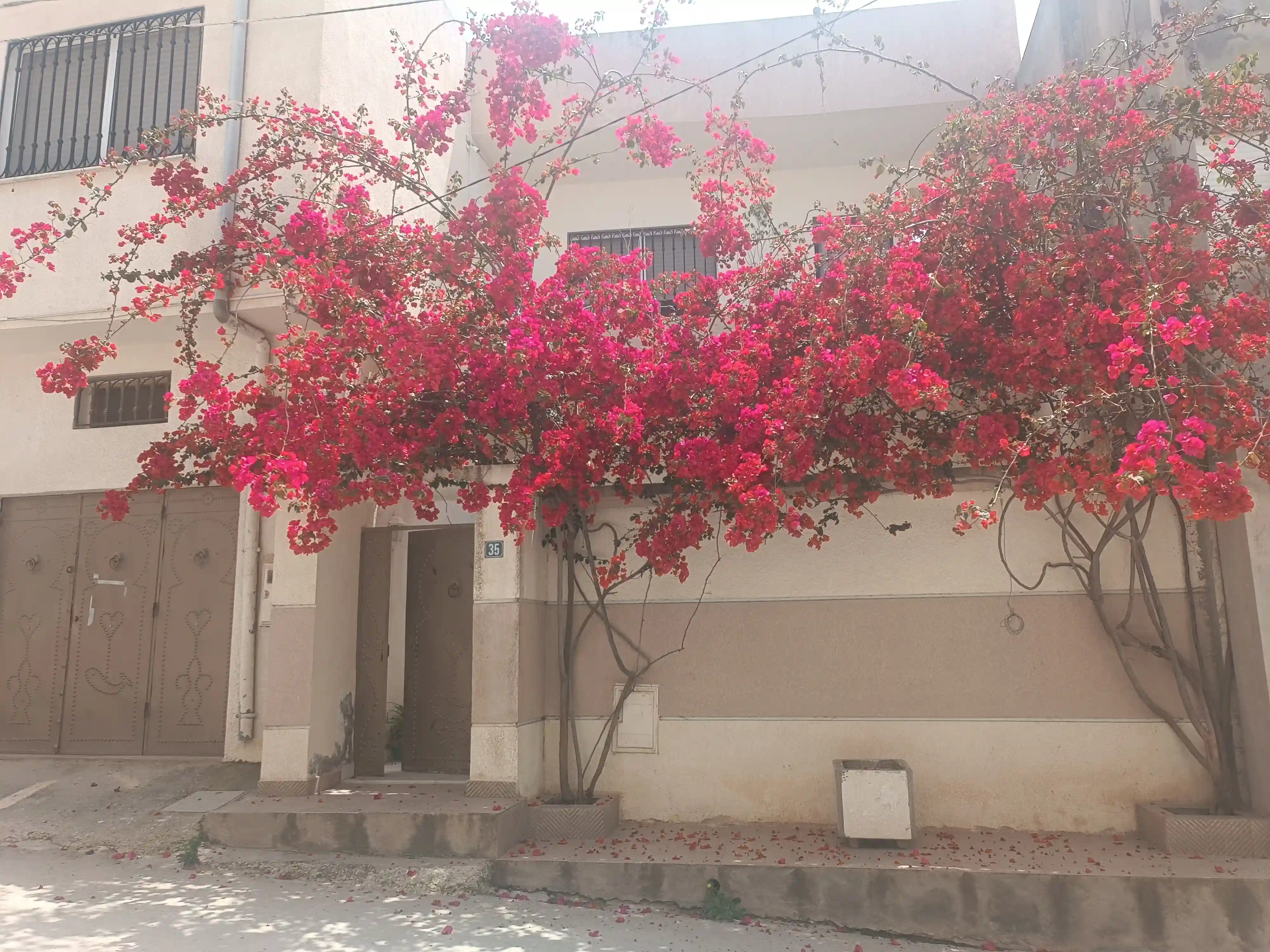 Maison s5 à Omran Supérieur à El Omrane Superieur - Vue 3