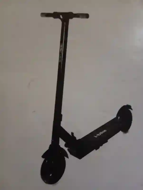 Scoter Electric - Vue 2