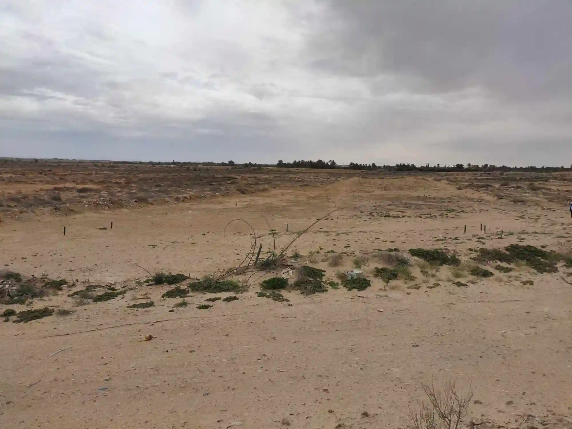 ارض للبيع فرصة من ذهب - Vue 2