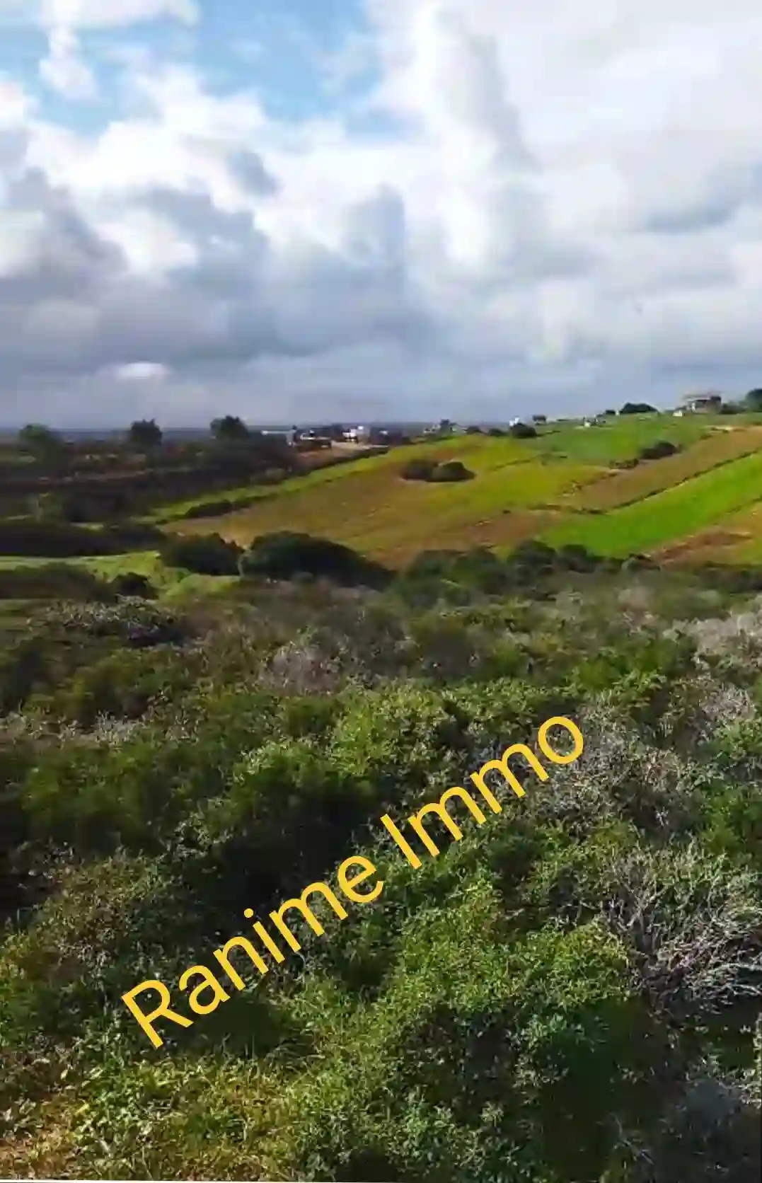 Terrain de 3740m2 a la Plage el Haouaria à Cite Touristique