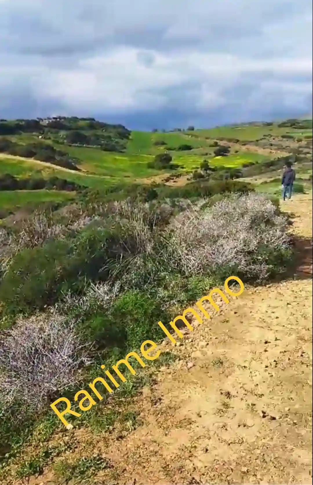 Terrain de 3740m2 a la Plage el Haouaria à Cite Touristique - Vue 1