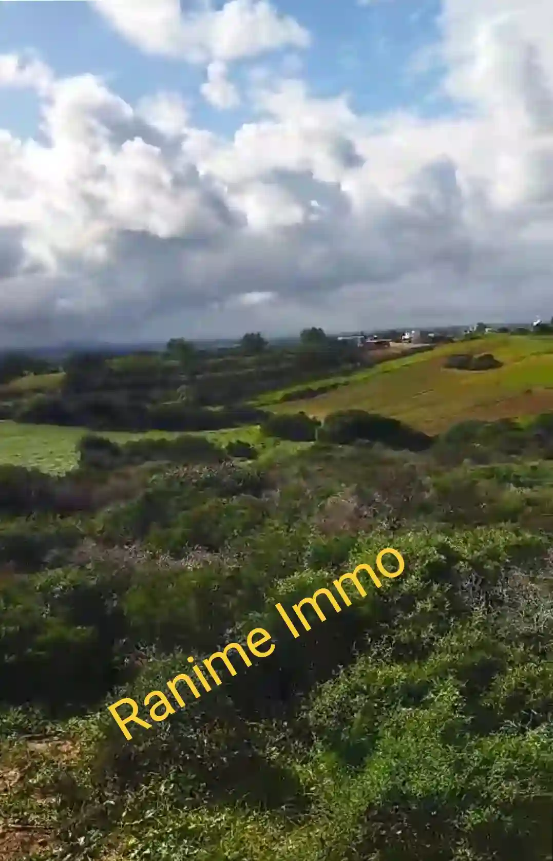 Terrain de 3740m2 a la Plage el Haouaria à Cite Touristique - Vue 2