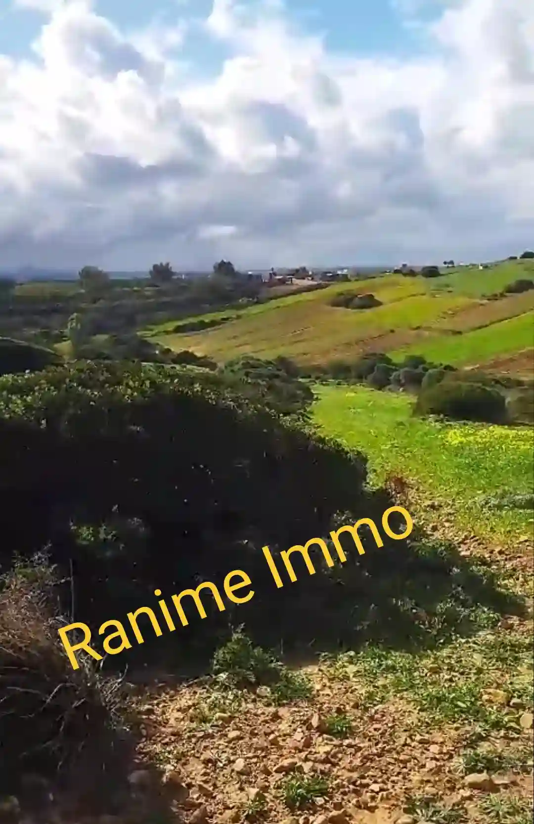 Terrain de 3740m2 a la Plage el Haouaria à Cite Touristique - Vue 4
