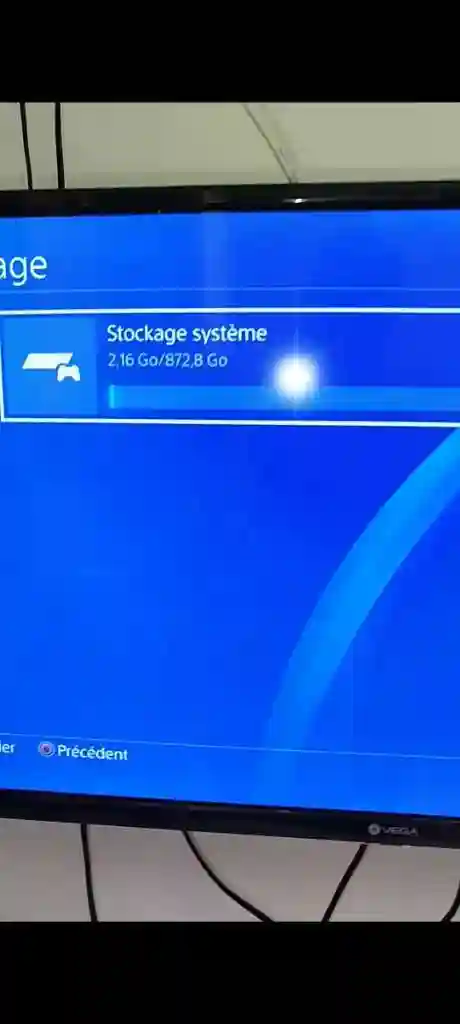Forsa 4 ps4 Patché - Vue 6