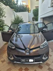 Mg Gs