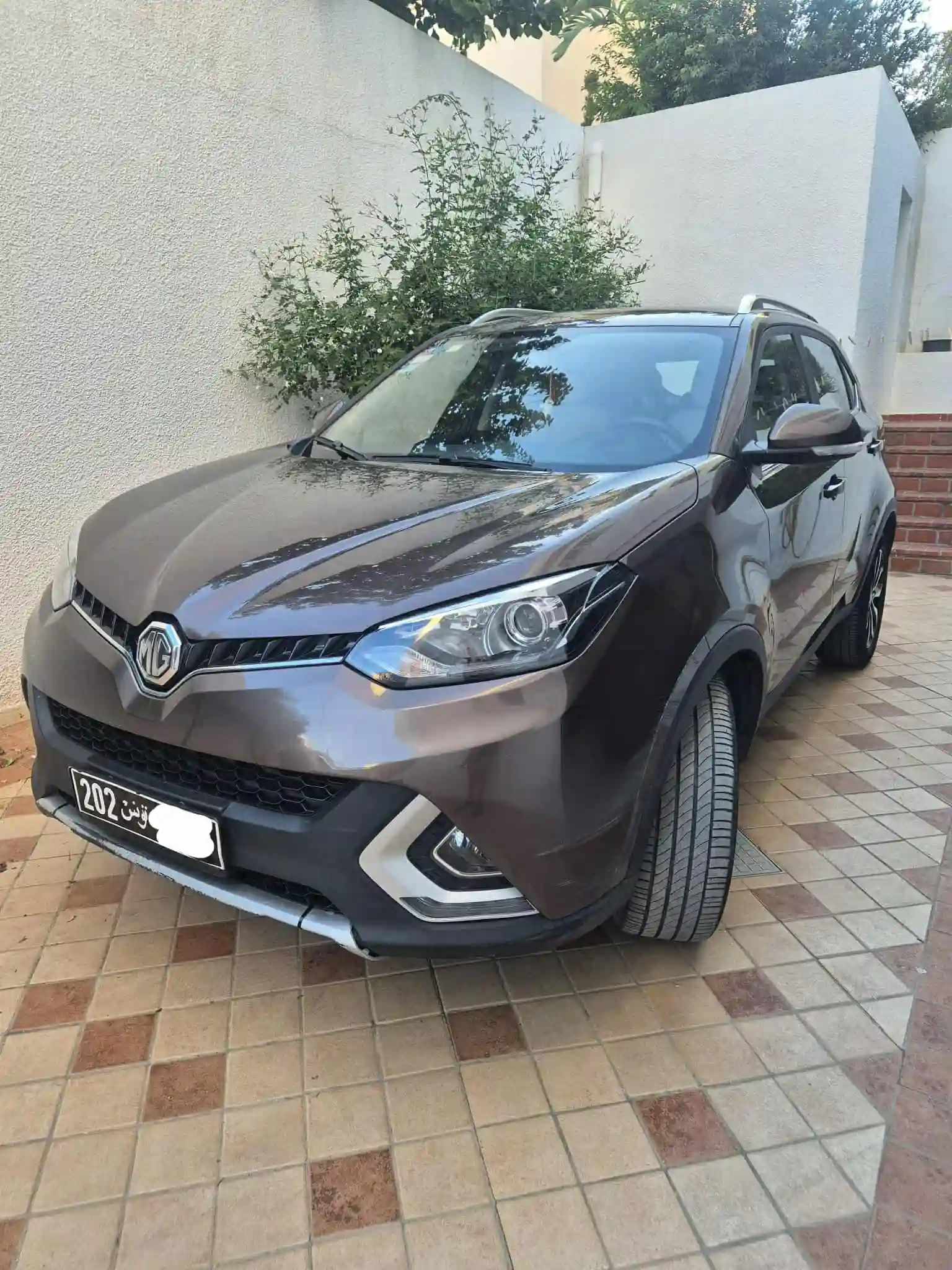 Mg Gs - Vue 1