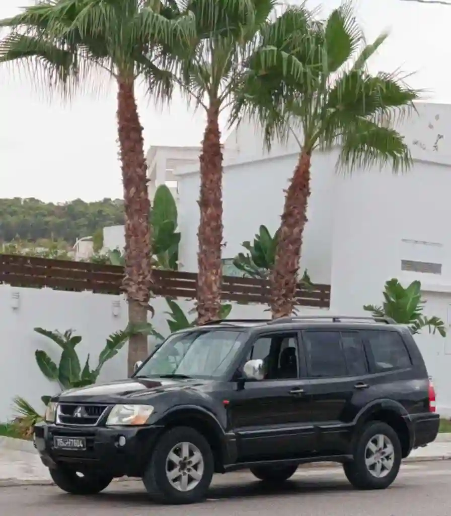 🚘 Mitsubishi Pajero 32 Di-d - Vue 2