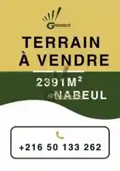 Terrain Nabeul Ref313a à Nabeul