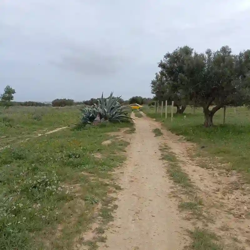 Av Terrain 290m à Hammamet sud