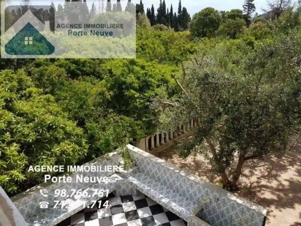 Maison de Campagne 5000 m² ras Jebel - Vue 2