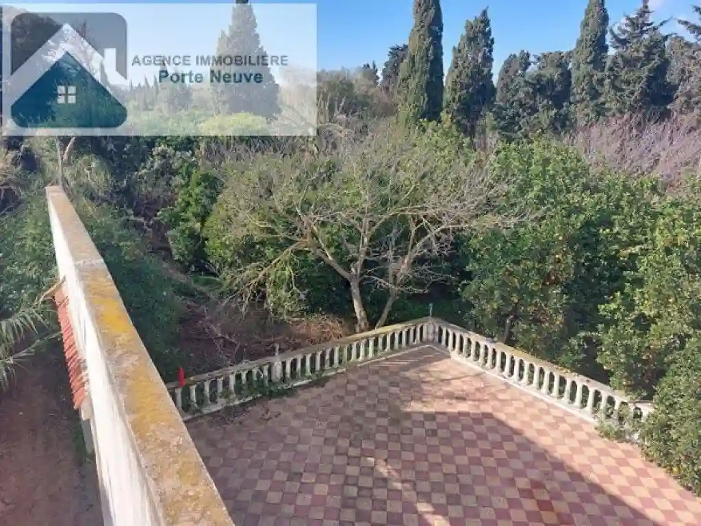 Maison de Campagne 5000 m² ras Jebel - Vue 4