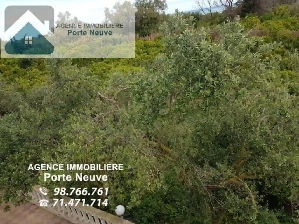 Maison de Campagne 5000 m² ras Jebel - Vue 5
