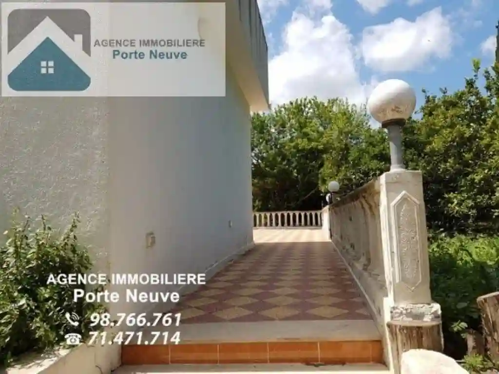 Maison de Campagne 5000 m² ras Jebel - Vue 7