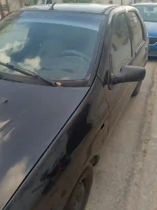 Fiat Palio Weekend Essence 2000