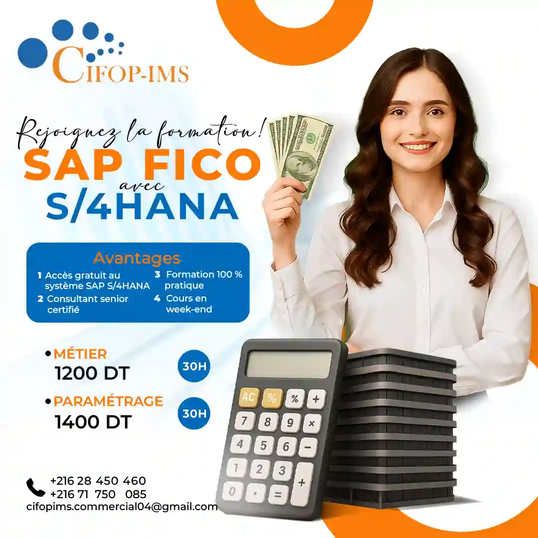 Formation SAP FICO