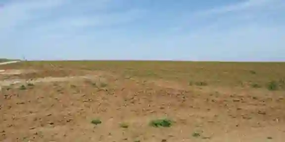 أرض فلاحية للكراء