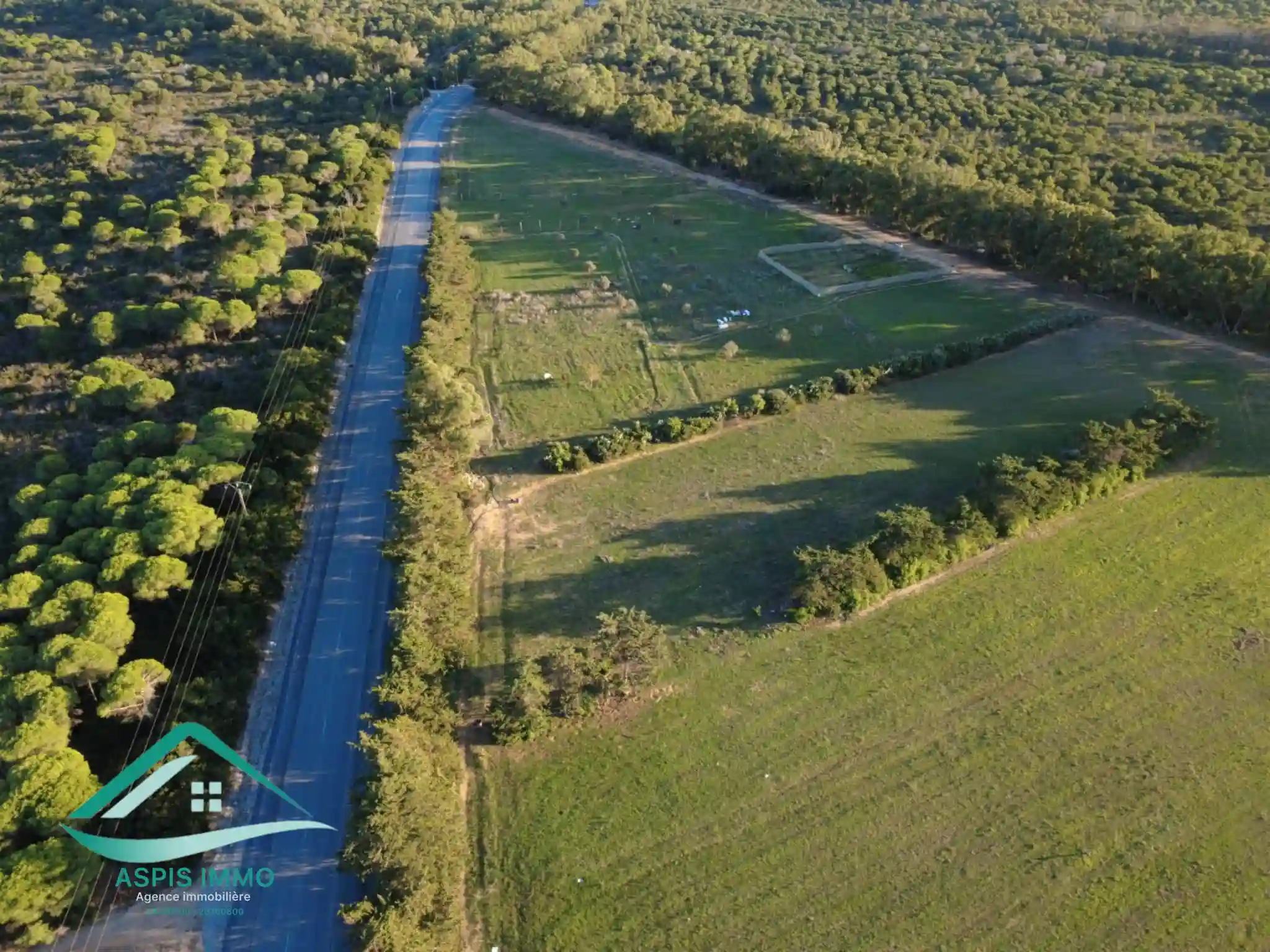Vt955 Terrain 1000 m2 à Kerkouene à Kelibia - Vue 4