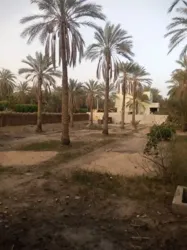 a Vendre Terrain a Tozeur Avec Titre Blue