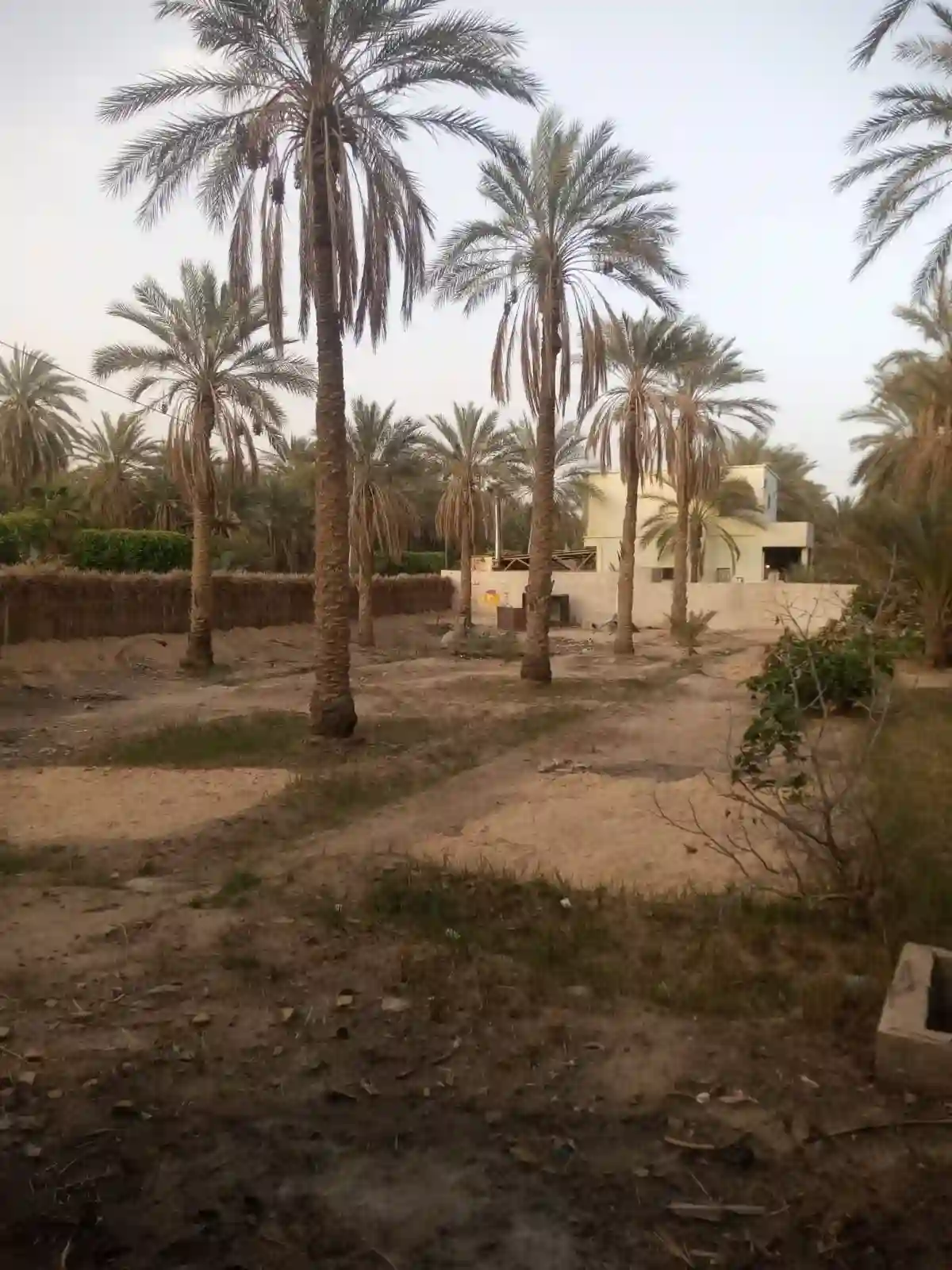 a Vendre Terrain a Tozeur Avec Titre Blue