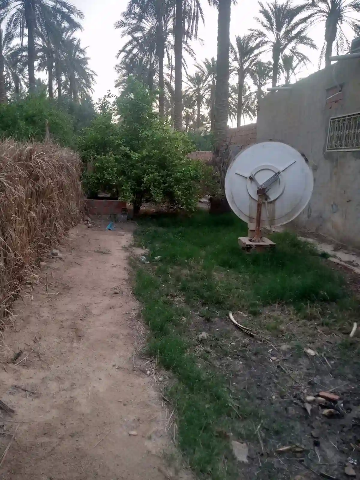 a Vendre Terrain a Tozeur Avec Titre Blue - Vue 1