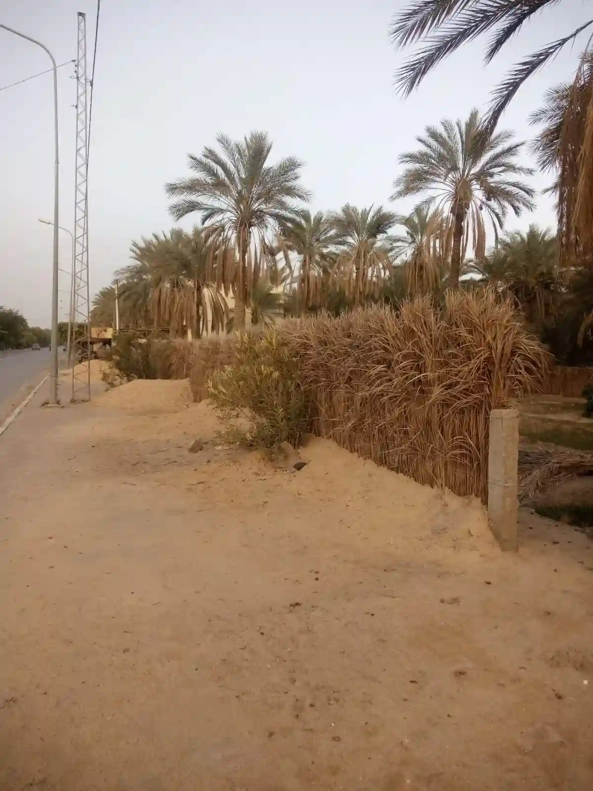 a Vendre Terrain a Tozeur Avec Titre Blue - Vue 2