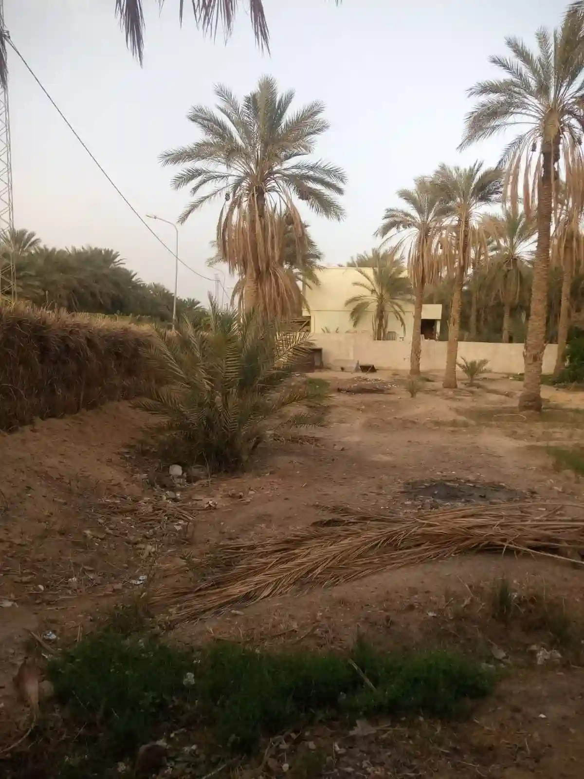 a Vendre Terrain a Tozeur Avec Titre Blue - Vue 5