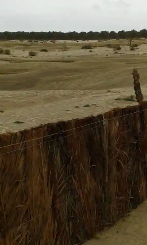 Une Belle Villa à Tozeur Cs5527 - Vue 13