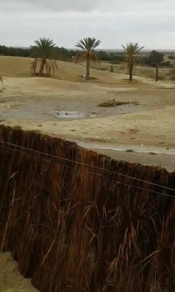 Une Belle Villa à Tozeur Cs5527 - Vue 4