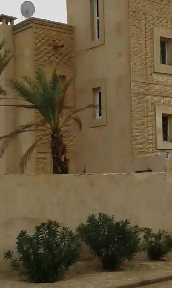 Une Belle Villa à Tozeur Cs5527 - Vue 5