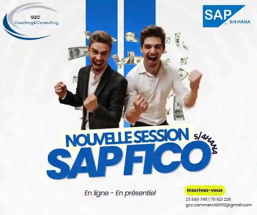 Formation SAP Fico