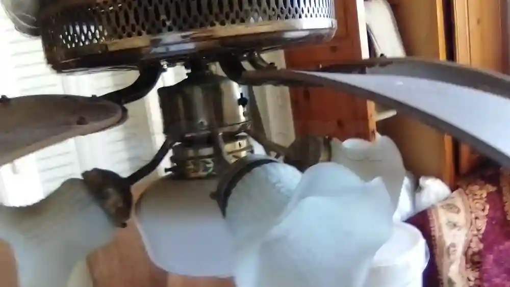 Meubles à Vendre - Vue 4