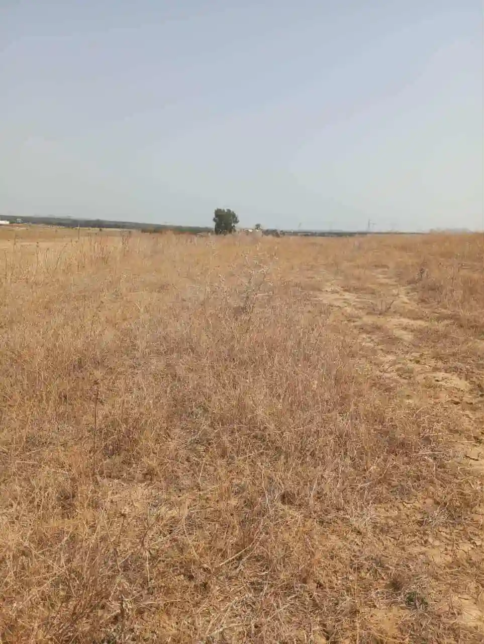 Av 7 Hectares Route Hammamet Zaghouan - Vue 2