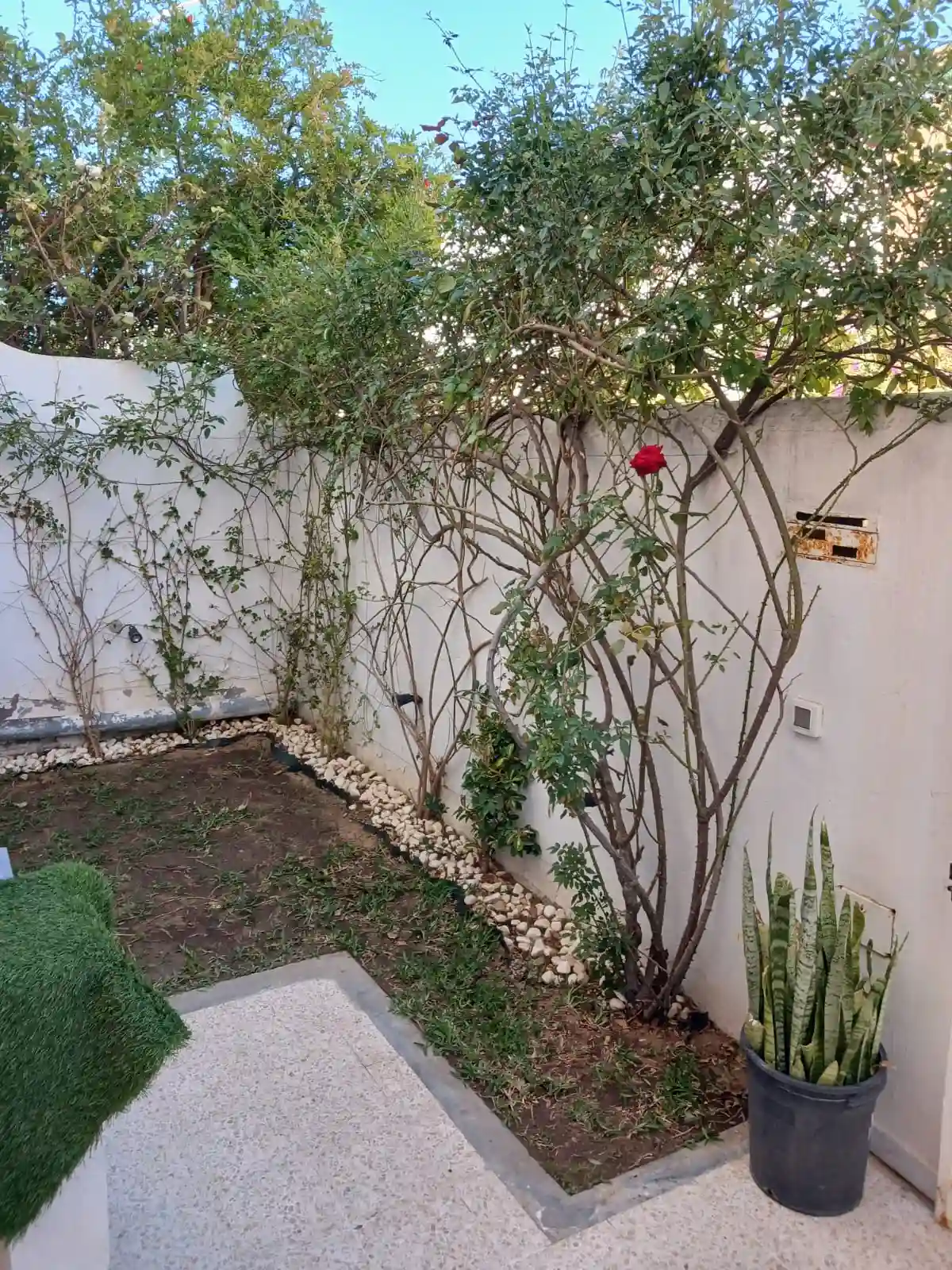 Duplex Unique Face Esprit à Ariana Essoughra - Vue 4