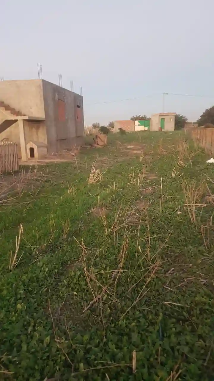 Terrain Agricole à Vendre - Vue 1