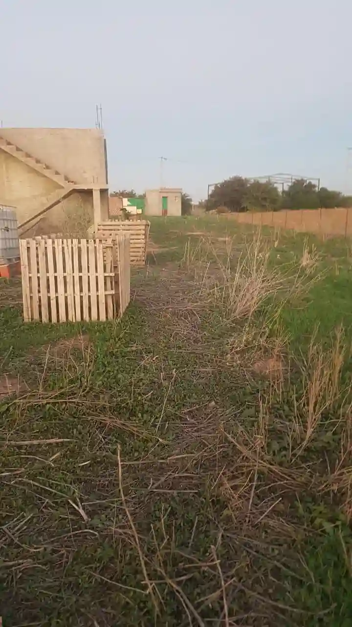 Terrain Agricole à Vendre - Vue 4