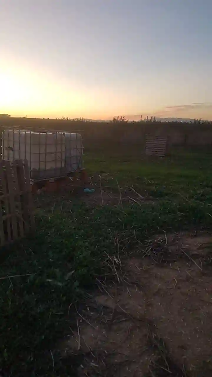 Terrain Agricole à Vendre - Vue 5