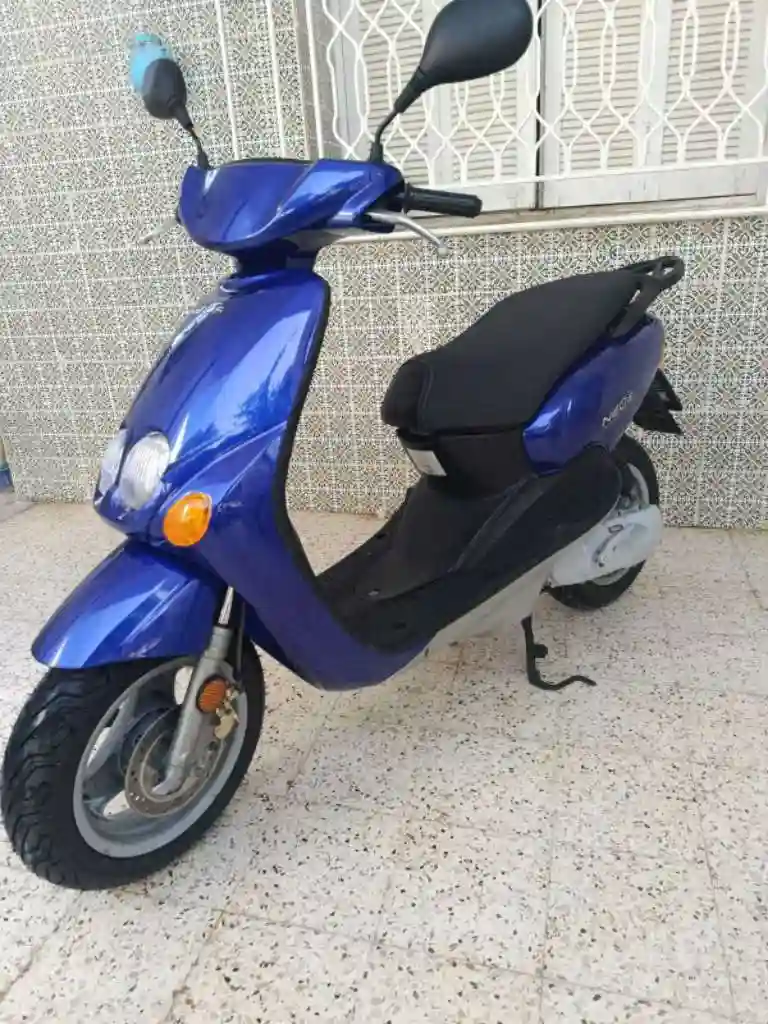 Avendre Ovetto Tout Neuf Importe Italien 🇮🇹🇮🇹 - Vue 5