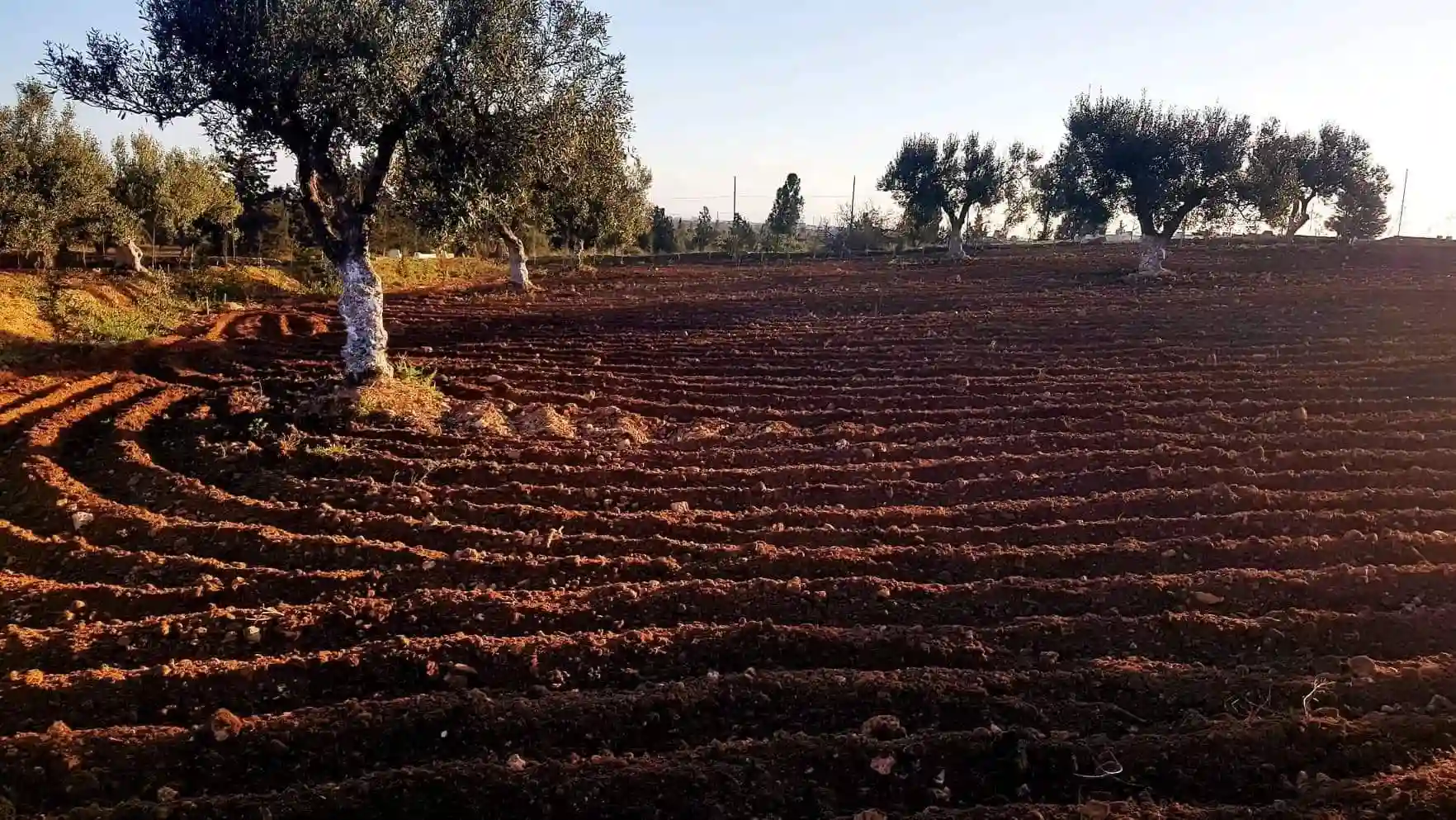 Terrain 5800 à Bouficha - Vue 1