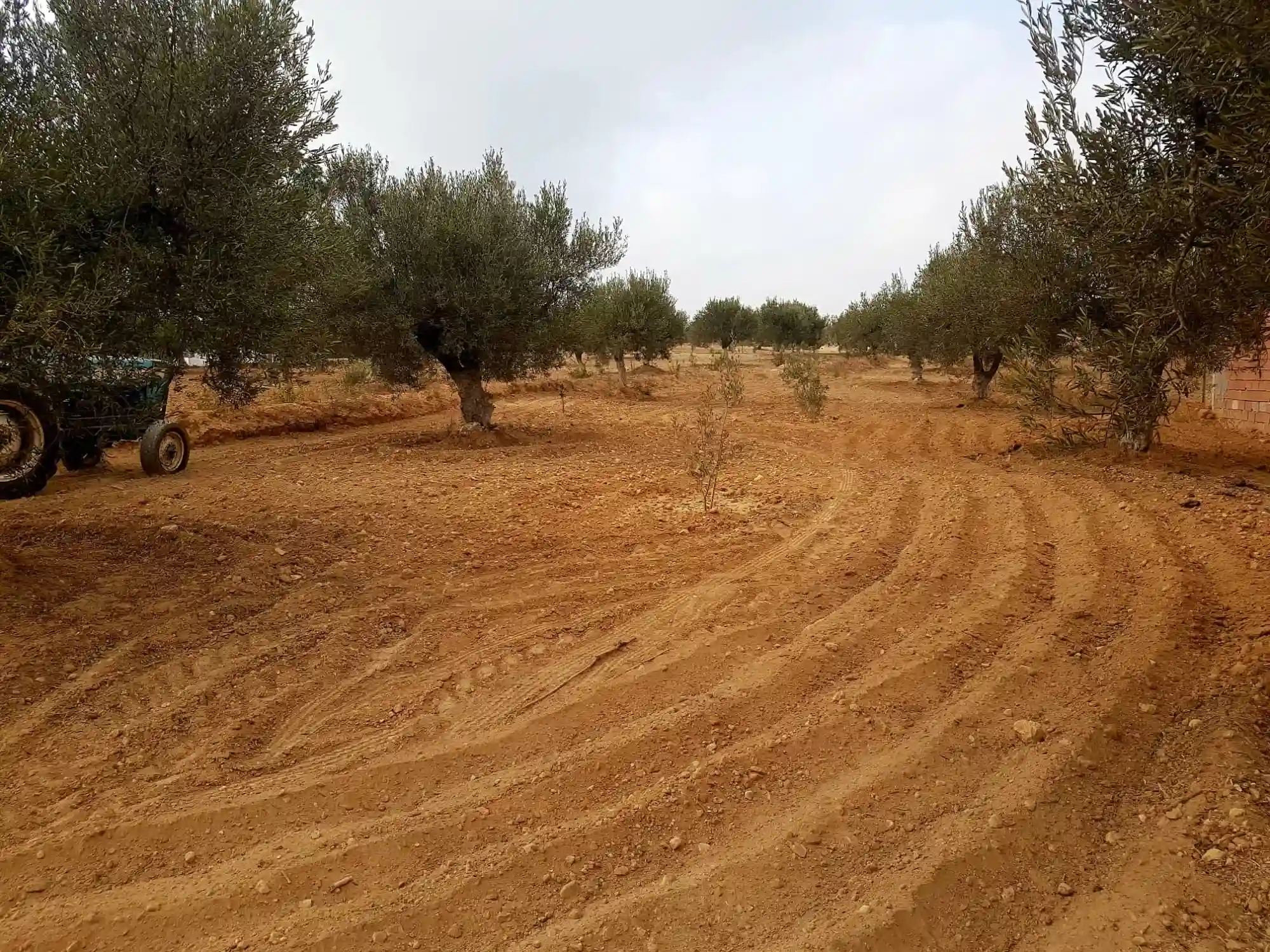 Terrain 5800 à Bouficha - Vue 2