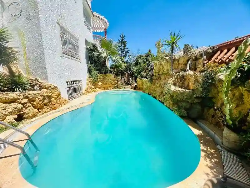 V482 Villa Royale la Villa Mahersi à Cite El Mahrsi 1 - Vue 1